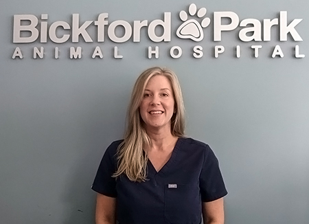 bickford animal hospital