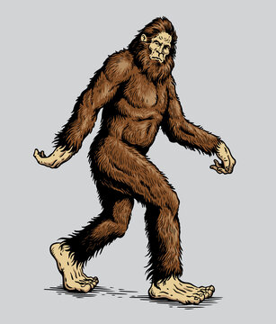 bigfoot illustration