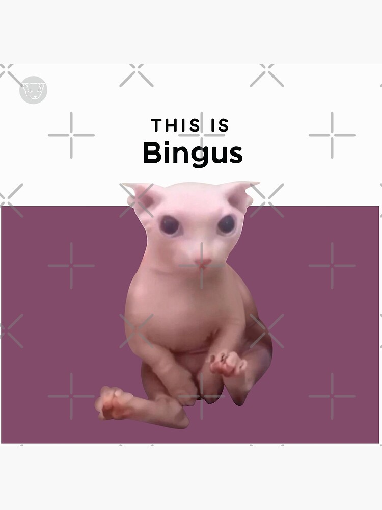 bingus