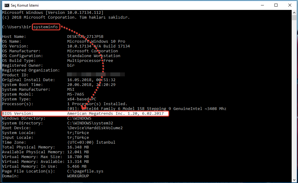 bios versiyon öğrenme