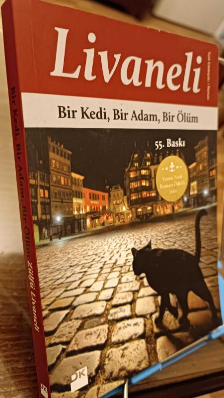 bir kedi bir adam bir ölüm konu