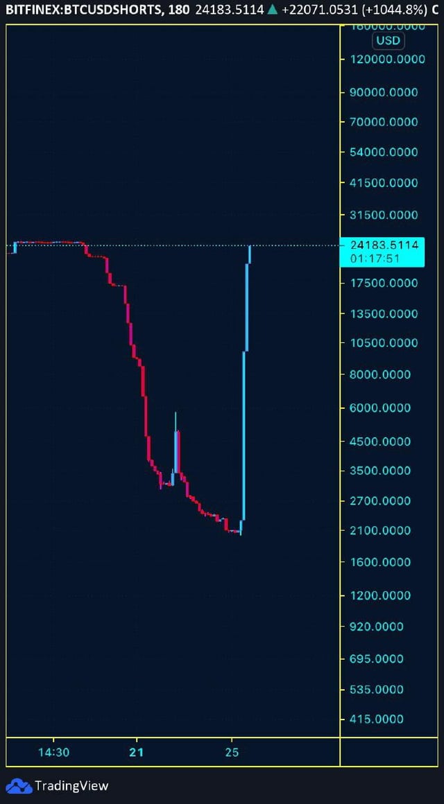 bitfinex shorts