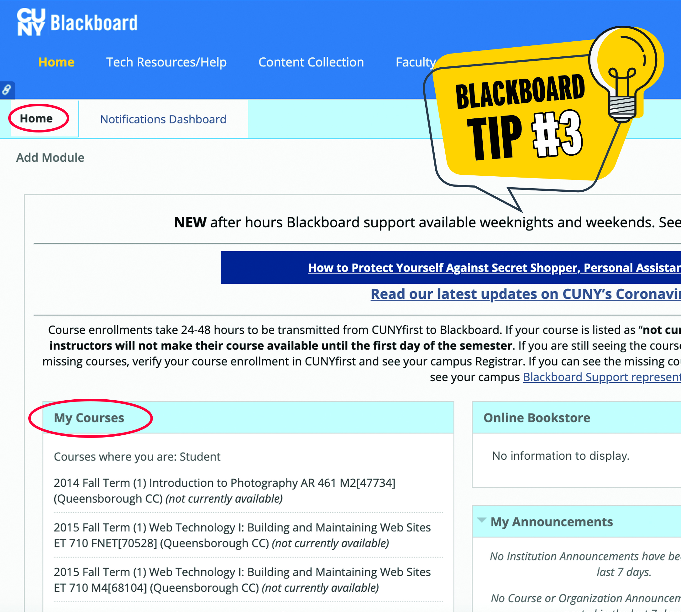 blackboard cuny login