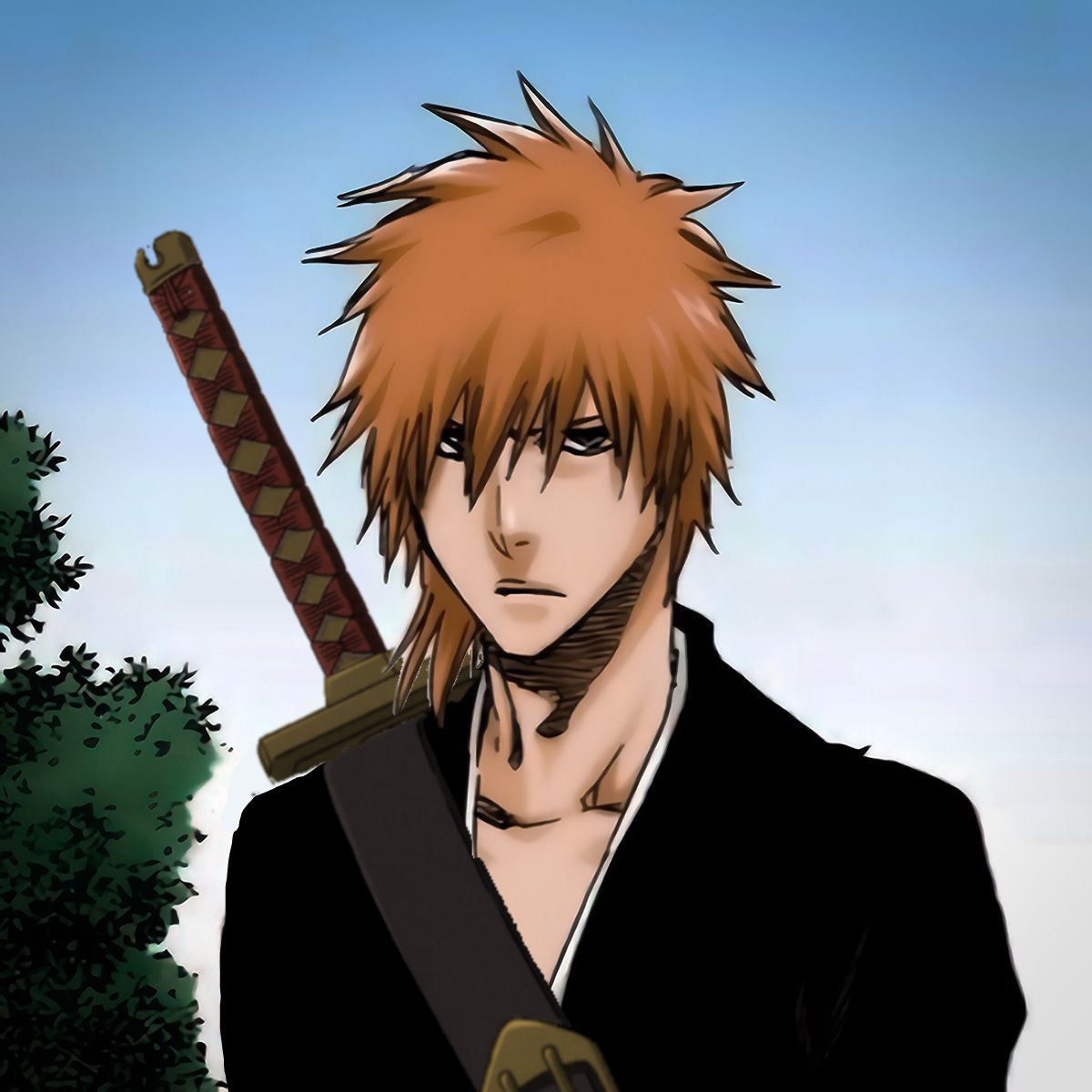 bleach fanon