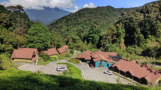 boquete tree trek mountain resort