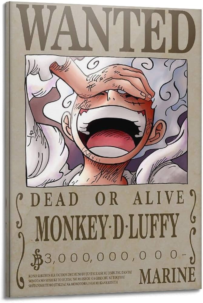 bounty of luffy