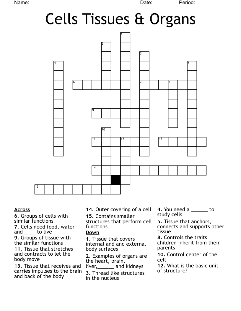 brain tissue crossword clue