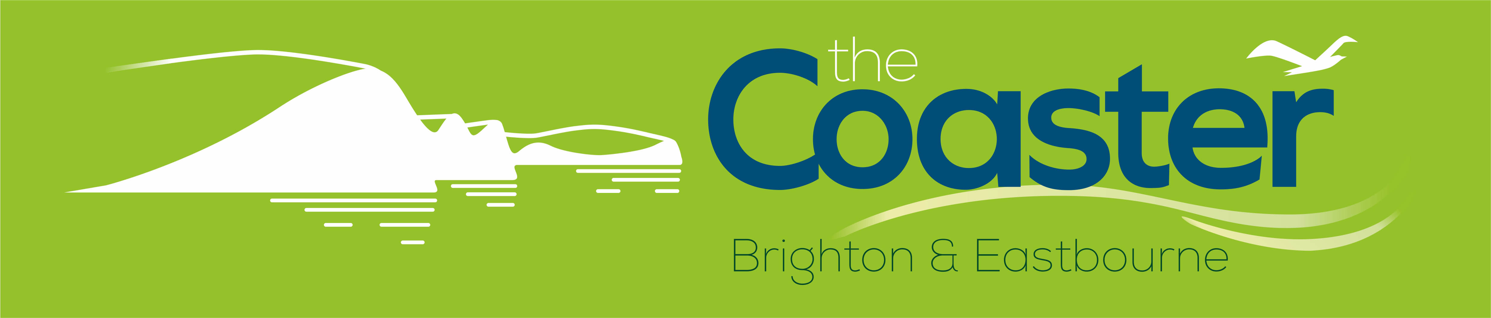 brighton and hove buses timetable