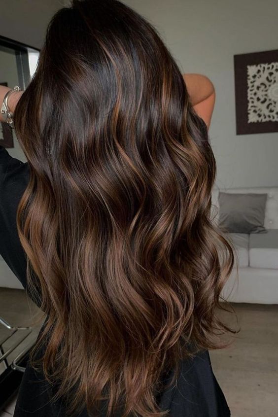 brown balayage on black hair