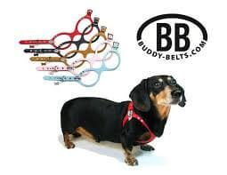 buddy belts dog harness