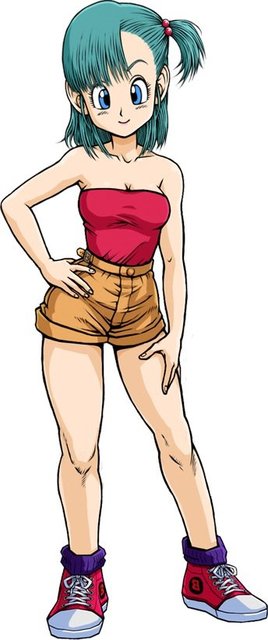 bulma briefs