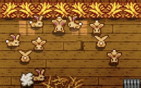 bunny stardew valley