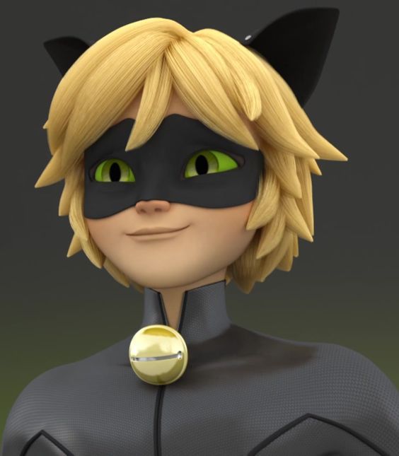 cara cat noir