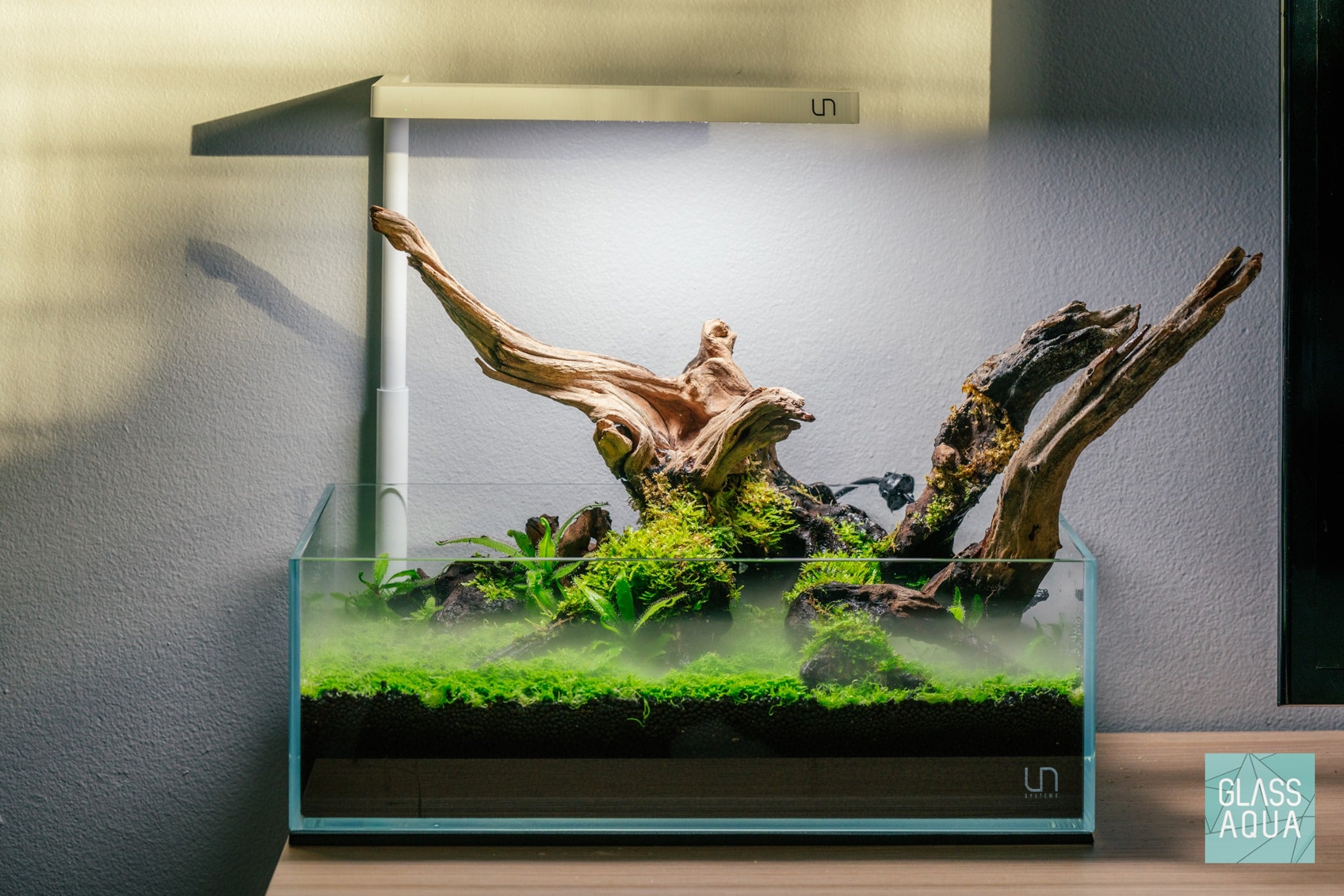 long rimless aquarium