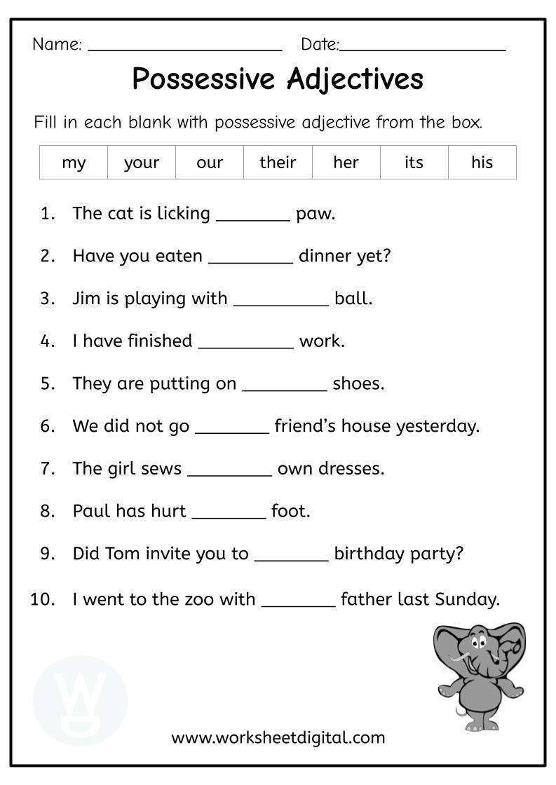 possessive adjective worksheet for grade 1