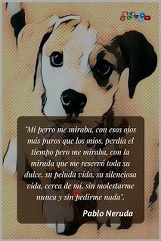 frases perritos fallecidos