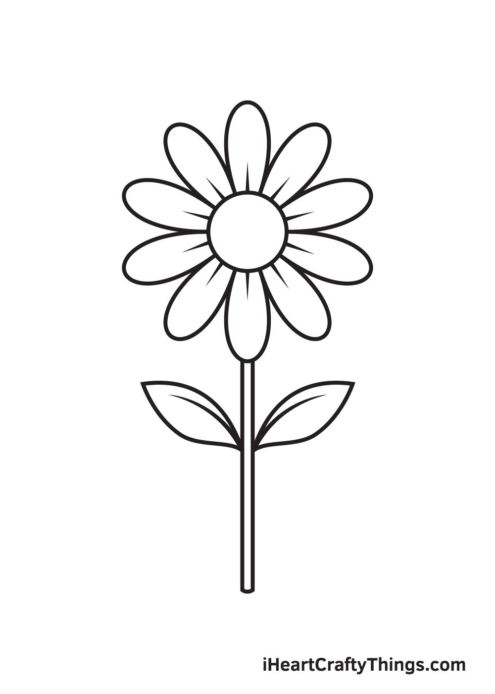 how to draw daisy flower