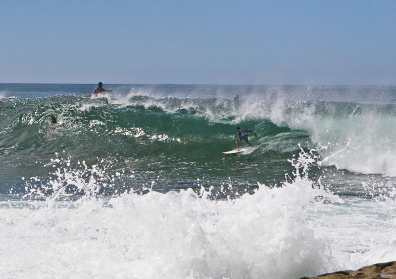 surf cam dee why