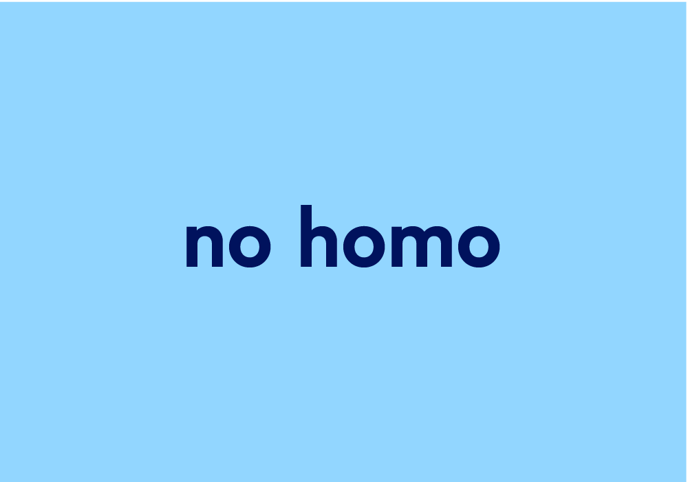 no homo meme