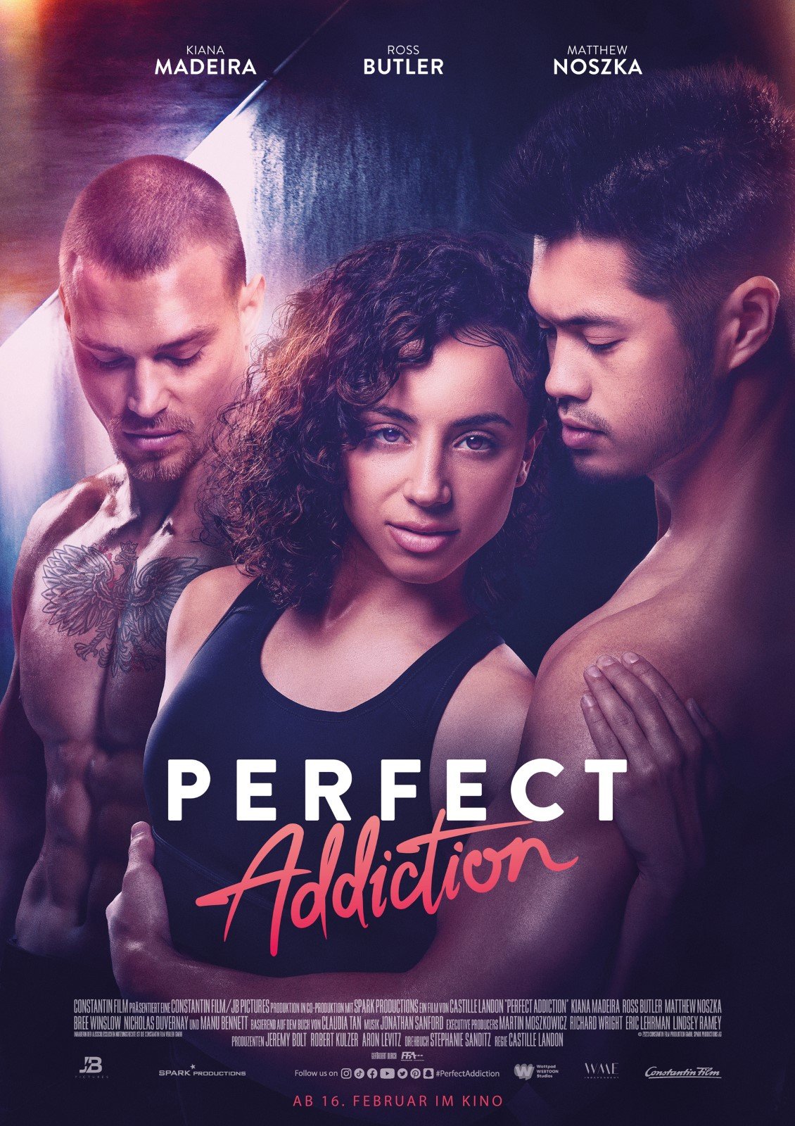 distribution de perfect addiction