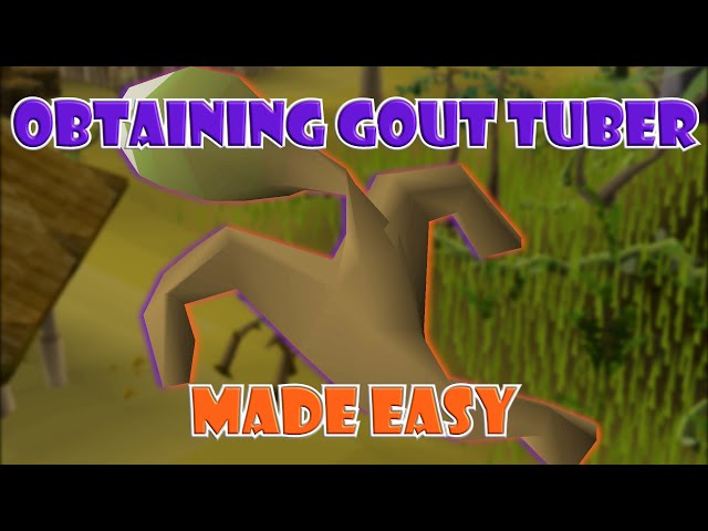 gout tuber