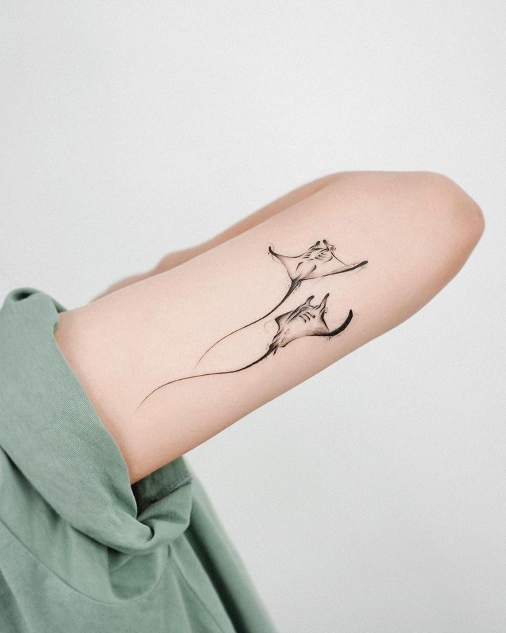 manta ray tattoo