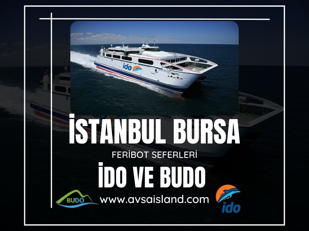 istanbul bursa feribot kaç saat sürüyor