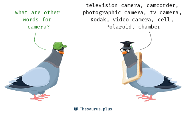 camera synonym