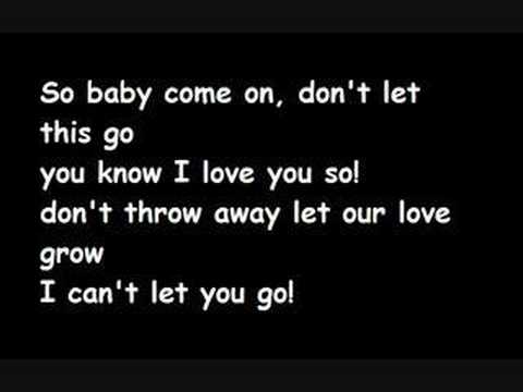 can t let you go lyrics