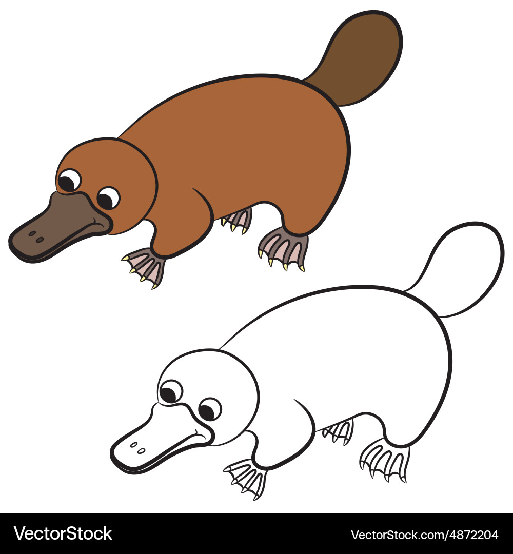 cartoon duck billed platypus