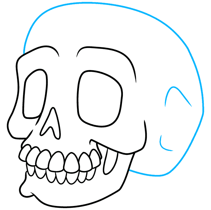 cartoon skull drawing