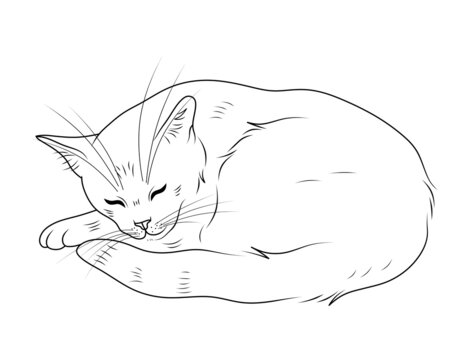 cat art drawings