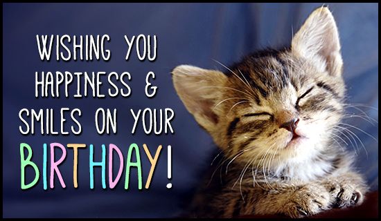 cat wishing happy birthday