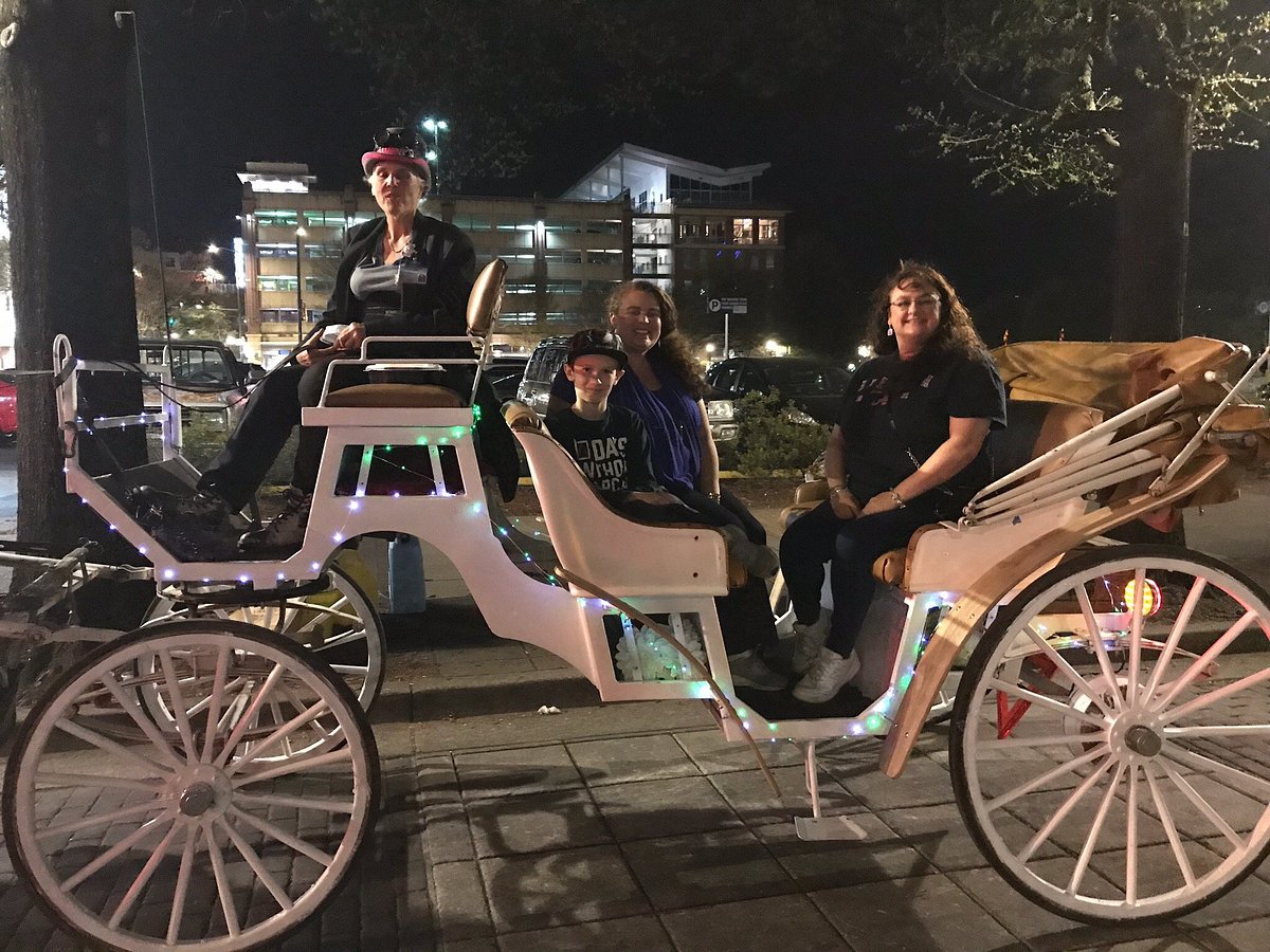 carriage rides chattanooga tn