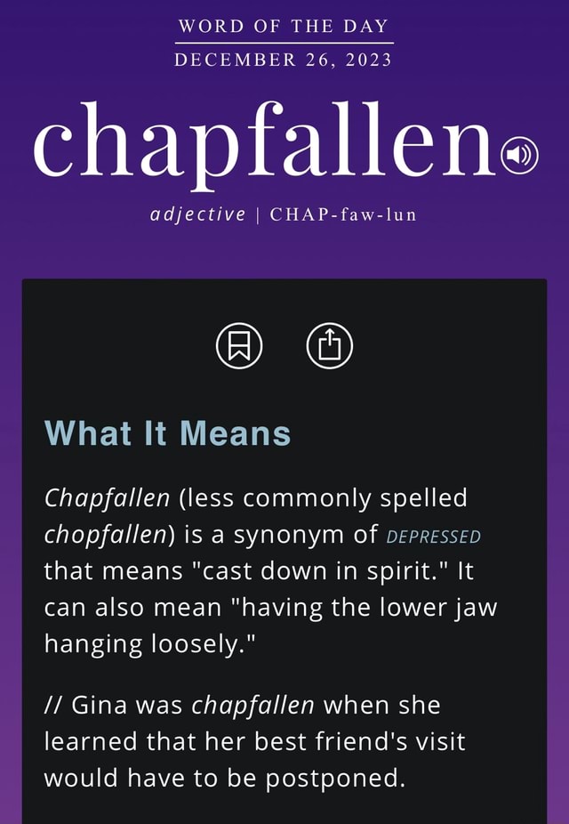 chap synonym