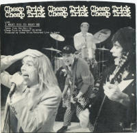 cheap trick i want you to want me