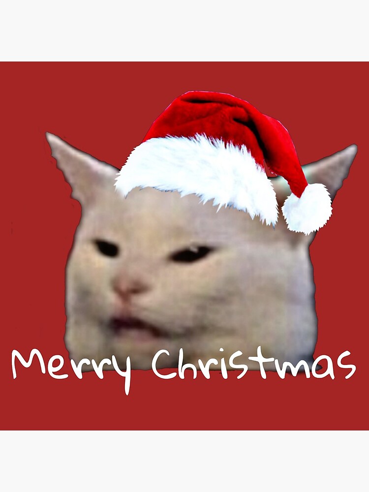 christmas cat memes