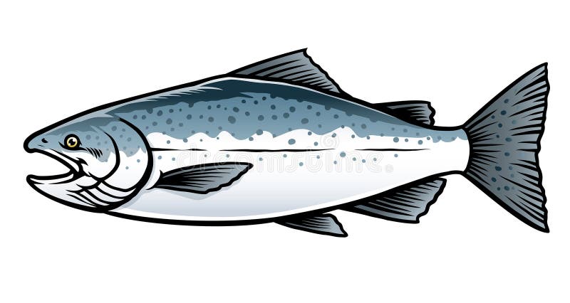 clip art salmon