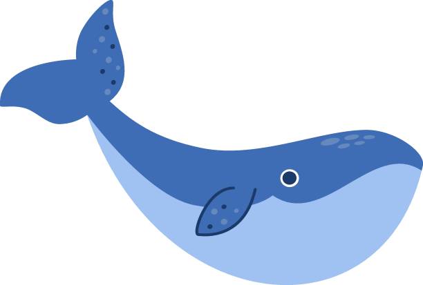 clip art whale