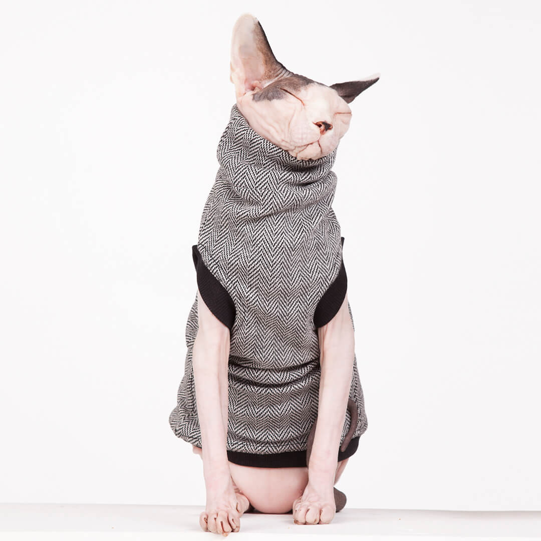 clothes for hairless cats