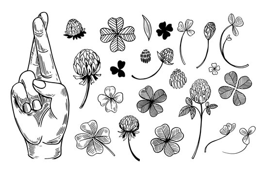 clover line art