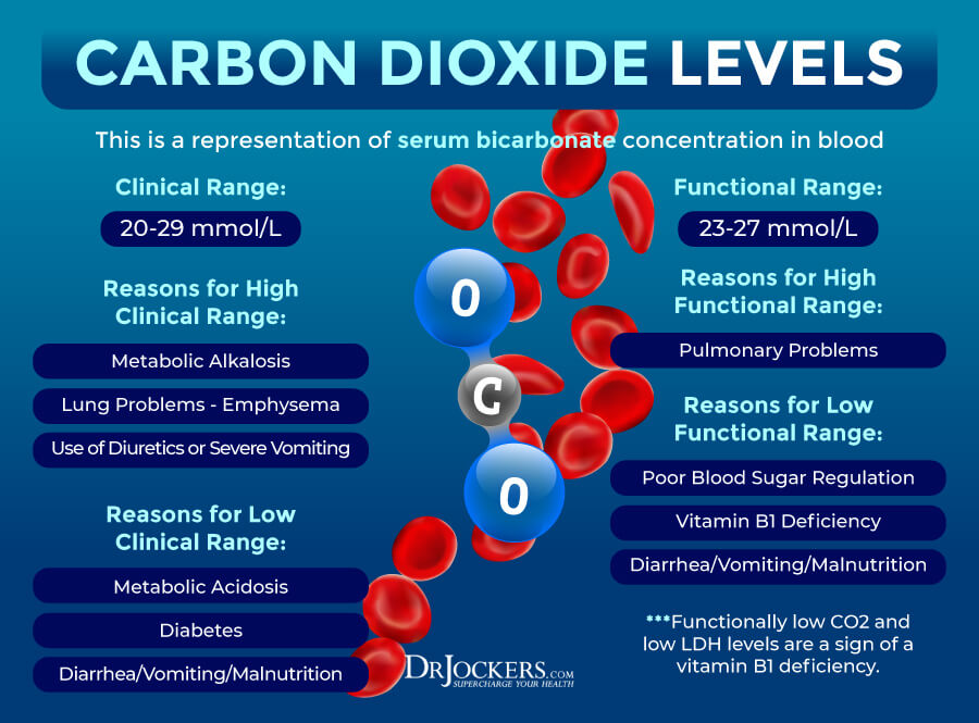 co2 levels low in blood