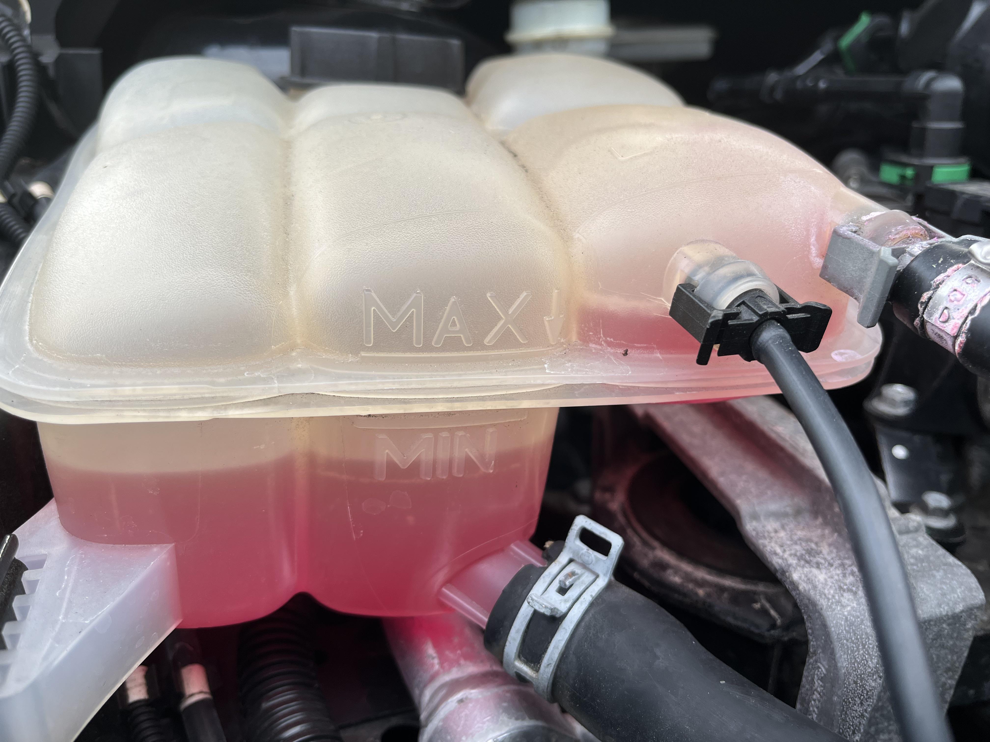 coolant in ford focus