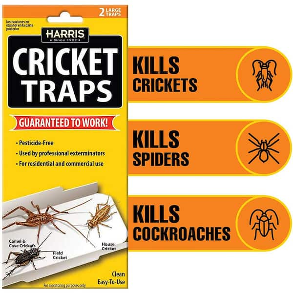 cricket traps lowes