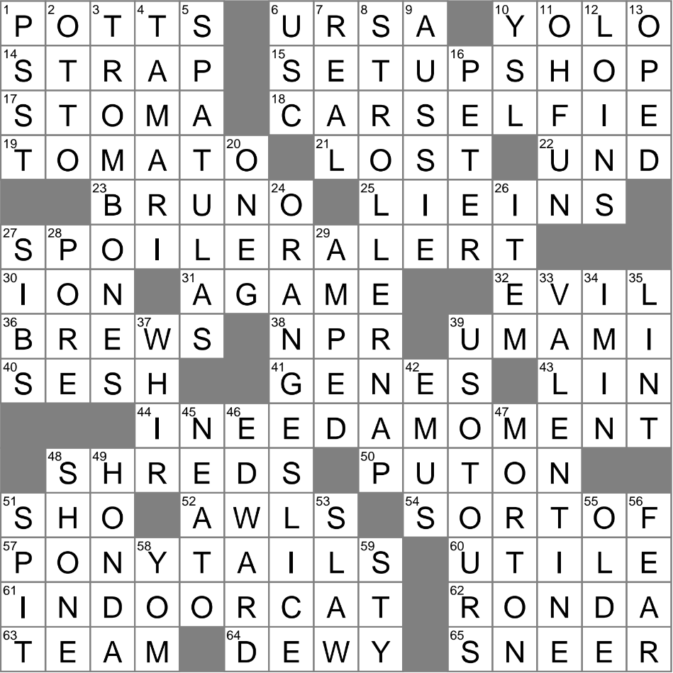 critter crossword clue