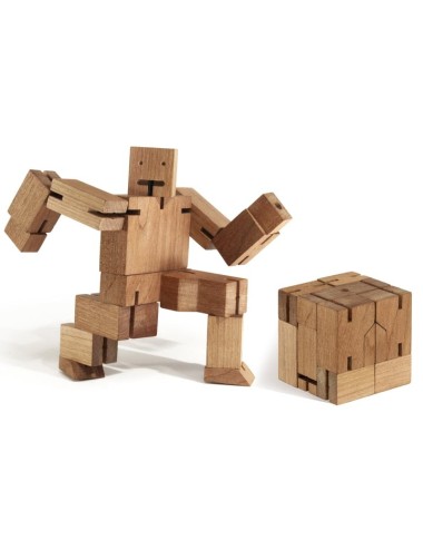 cubebot puzzle