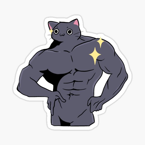 buff cat meme