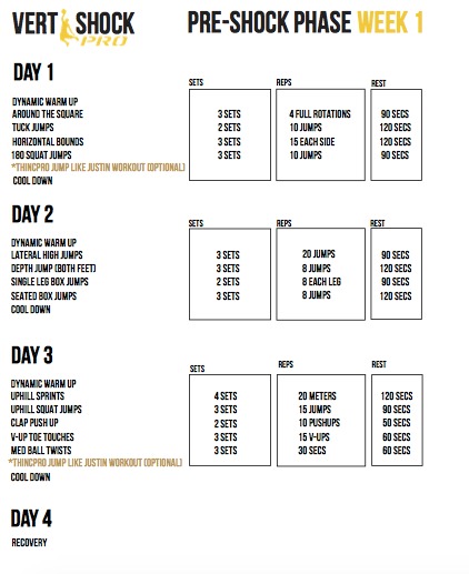 180 squat jumps vert shock