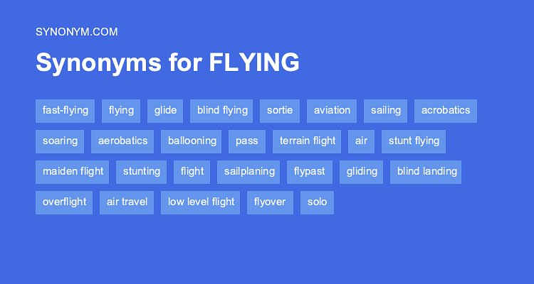 another word for flight