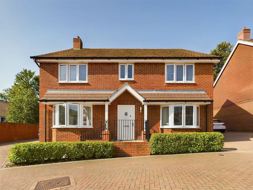 southampton zoopla